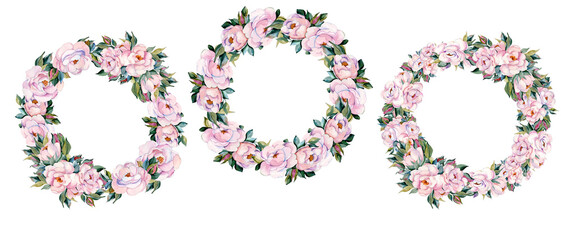 Watercolor flower wreaths of pink peonies illustration