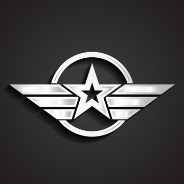 silver military star symbol / vector illustration