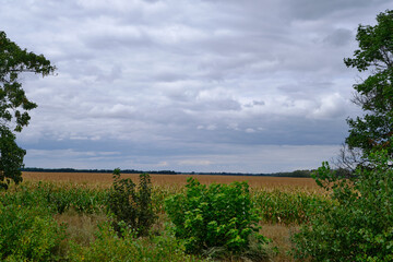 Ukraine donetsk landscape