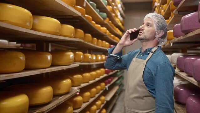 Portrait of Caucasian middle-aged handsome male worker in apron at work in storage room with cheese heads speaking on smartphone. Dairy products factory. Wheels of cheese on shelves, milk farm