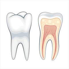 Healthy tooth Illustration, Healthy Teeth, Dentist Vector Illustration, Oral Care