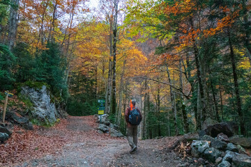 Spectacular view of the Ordesa Valley with the colors of autumn. Ordesa and Monte Perdido National...