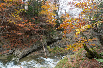 Spectacular view of the Ordesa Valley with the colors of autumn. Ordesa and Monte Perdido National Park in Huesca, Aragon, Spain