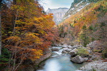 Spectacular view of the Ordesa Valley with the colors of autumn. Ordesa and Monte Perdido National Park in Huesca, Aragon, Spain