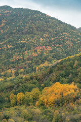 Spectacular view of the Ordesa Valley with the colors of autumn. Ordesa and Monte Perdido National Park in Huesca, Aragon, Spain