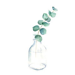Eucalyptus branch in vase, bottle, jar. True blue. Watercolor hand drawn botanical illustration isolated on white background. Eco minimalistic style for greeting card, poster.