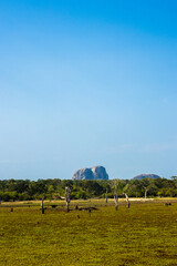 The Elephant rock in the heart of Yala National park, Sri Lanka.