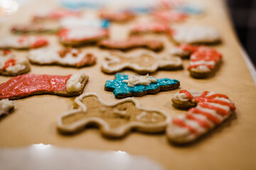 Christmas Cookies decorated with icing