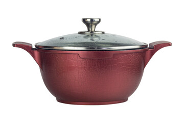 saucepan with a closed lid, isolated from the background