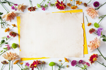 White wooden background with chrysanthemum flowers, phlox, paper for text, copy space. Greeting card for the holiday birthday.