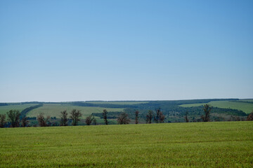 Ukraine donetsk landscape