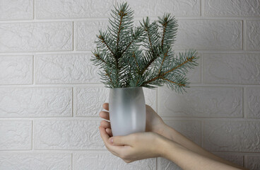 The hand holds a frosted glass with a bouquet of fir branches. The concept of New year, Christmas