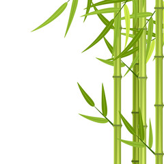 Fototapeta na wymiar Vector green bamboo stems