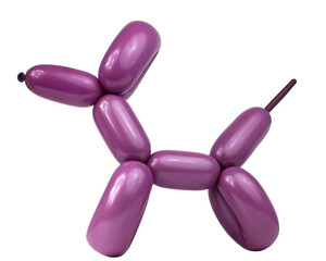 Bright balloon dog toy isolated on the white background