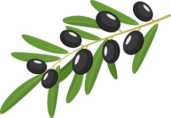 black Olives Branch