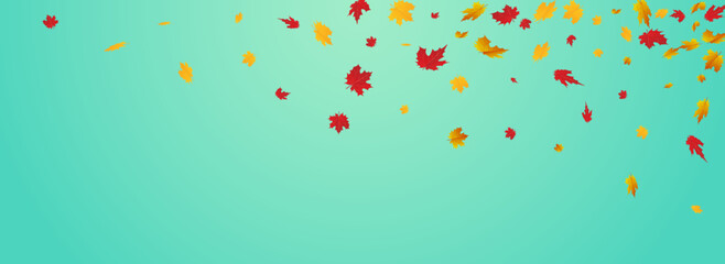 Green Leaves Vector Blue Panoramic Background.