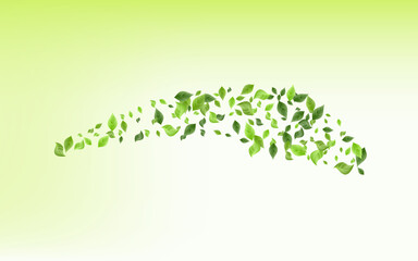 Forest Greenery Organic Vector Green Background