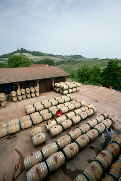 2004 Nebbiolo juice at a winery in Monforte D'Alba, Barolo, Piedmont, Italy.