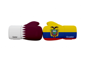 Qatar vs Ecuador football match. Soccer Competition
