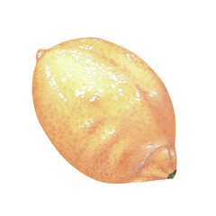 Yellow lemon. Watercolor illustration. Isolated on a white background. For your design stickers, nature prints, kitchen accessories, product packaging with citrus acid or scent