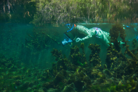 A woman takes pictures underwater in the warm water spring at Alexander Spring Recreation Area, Florida.