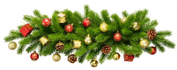 Christmas Border frame of tree branches on white background with copy space isolated.