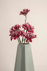 Minimalistic flowers in the vase