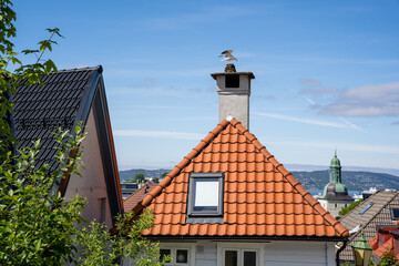 Fototapeta na wymiar Bergen houses roofs with red tiles and blue sky and a big chimney with a bird standing on it