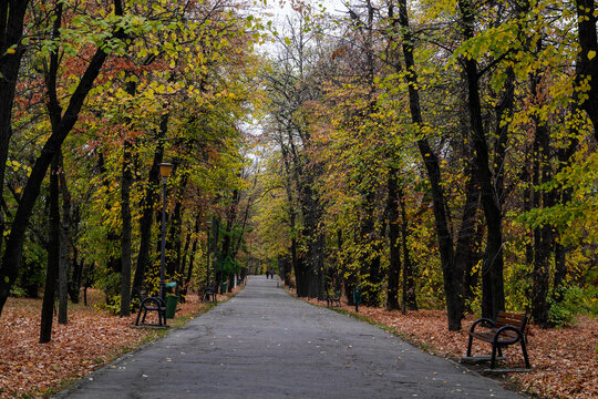 autumn in the park,  Herastrau Park, Bucharest City, Romania 