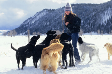 A young woman smiles while walking a pack of dogs through the snow on a sunny day in Jackson Hole, Wyoming.