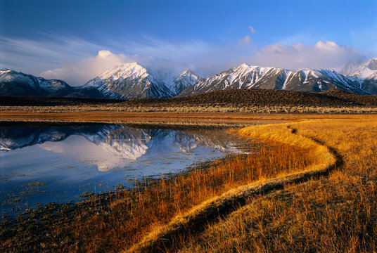 Birds Feeding In Lake Below Snowy Peaks