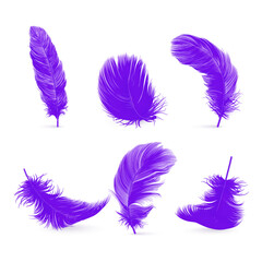 Vector 3d Realistic Purple Fluffy Feather Set Isolated on White Background. Design Template of Flamingo, Angel, Bird Detailed Feathers. Lightness,Freedom Concept