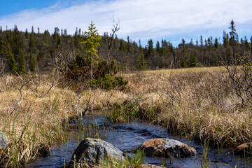 a small mountain stream with blue clear water with large gray stones and dry grass along the edge