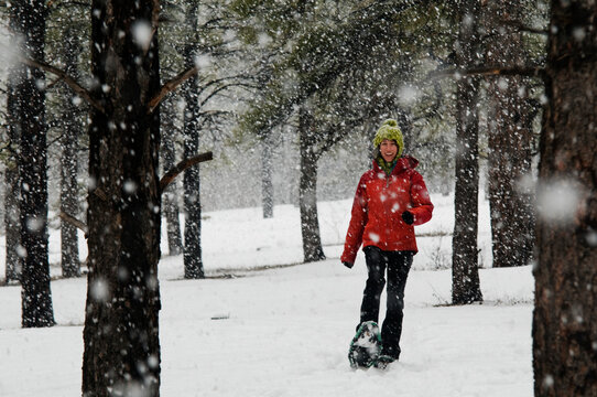 A young woman snowshoes through the woods as snow falls around her, Flagstaff, Arizona.