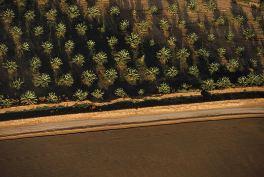 Agriculture