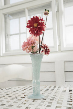 Pink and maroon peony flowers in vase on table at glass house, Bavaria, Germany