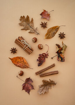 Fall leaves and spices on color background with space for text. Top view image.