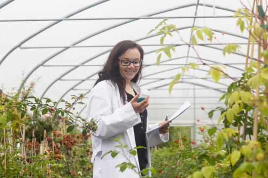 Female scientist examining sample in plant nursery, Freiburg im Breisgau, Freiburg im Breisgau, Germany