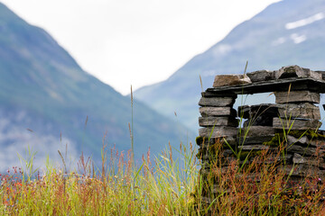 a chimney of gray square stones growing green grass with red sedges