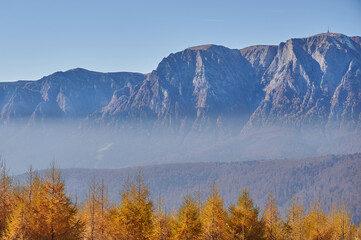 Obraz premium Mountains landscape with colorful autumn yellow trees in a misty morning