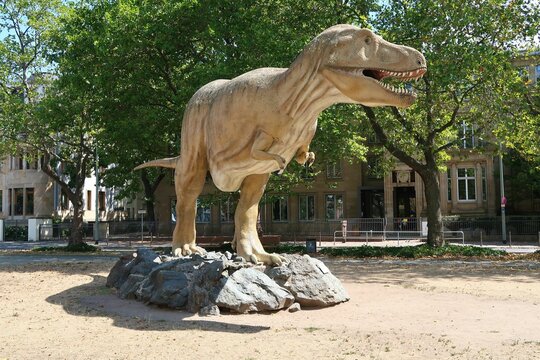 Life-size model of a Tyrannosaurus rex in front of the Senckenberg Museum in Frankfurt, Germany