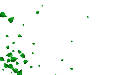 Green Foliage Wind Vector White Background