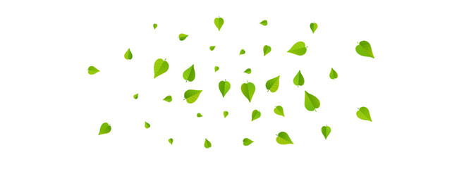 Green Leaves Tree Vector Panoramic White