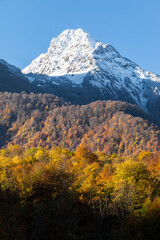 Autumn landscape in the mountains. Autumn forest and snow-covered mountain. Autumn multicolor foliage on trees. Travel in the mountains. Mountain hiking.