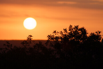Atardecer 