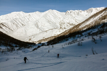 Fototapeta na wymiar A team of freerider skiers climbs against the background of snowy ridges of the Caucasus Mountains, Svaneti, Georgia, backcountry