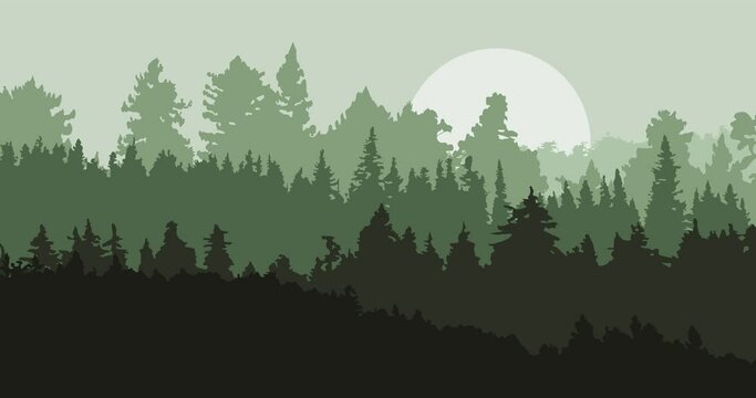 Animated natural green gradient forest and trees background with moonlight
