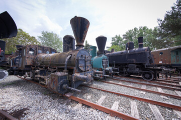 Fototapeta na wymiar Several old trains and steam locomotives parked and stored on a siding at the Strasshof train station and museum in Austria
