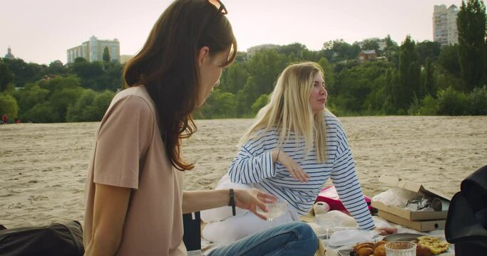 Friends Have Picnic At The Beach. Medium shot