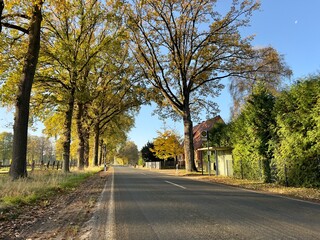 country road in autumn, lengerich, germany